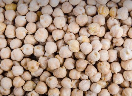 아연이 함유된 식품