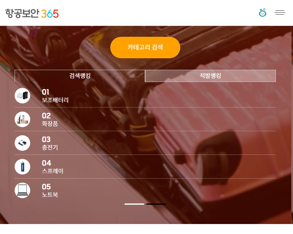 비행기 탑승전 유의사항