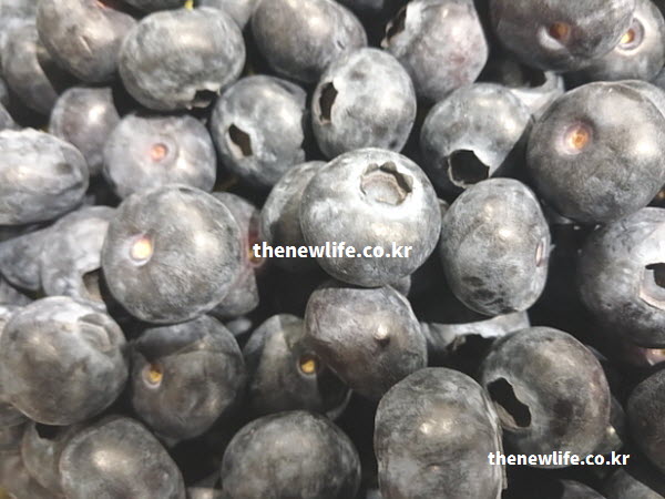 블루베리 효능의 핵심인 안토시아닌 성분이 풍부하여 눈 건강에 도움을 주는 블루베리 실사진