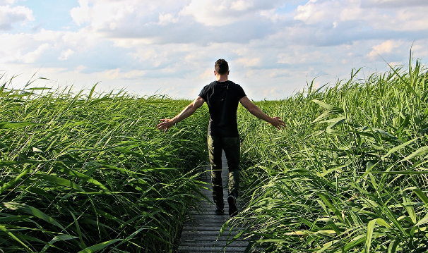 계절성우울증원인과 대처방법