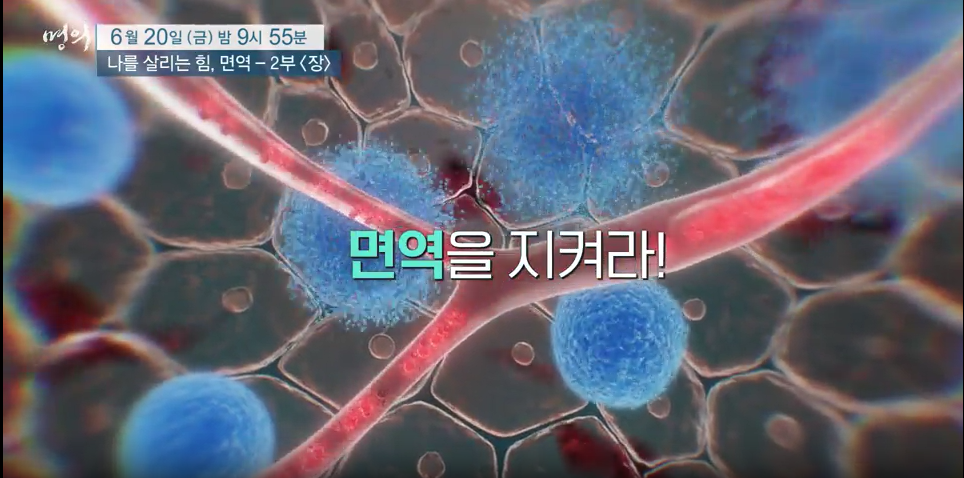 명의 - 면역력 특집 나를 살리는 힘, 면역 - 2부, 장