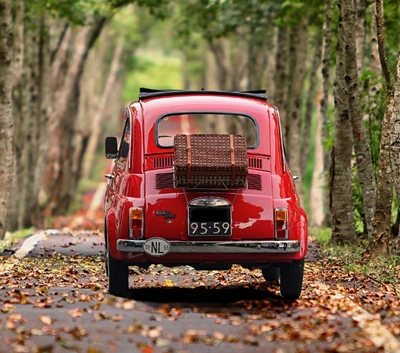 숙박할인쿠폰 발급 가능 온라인 여행사 알아보기