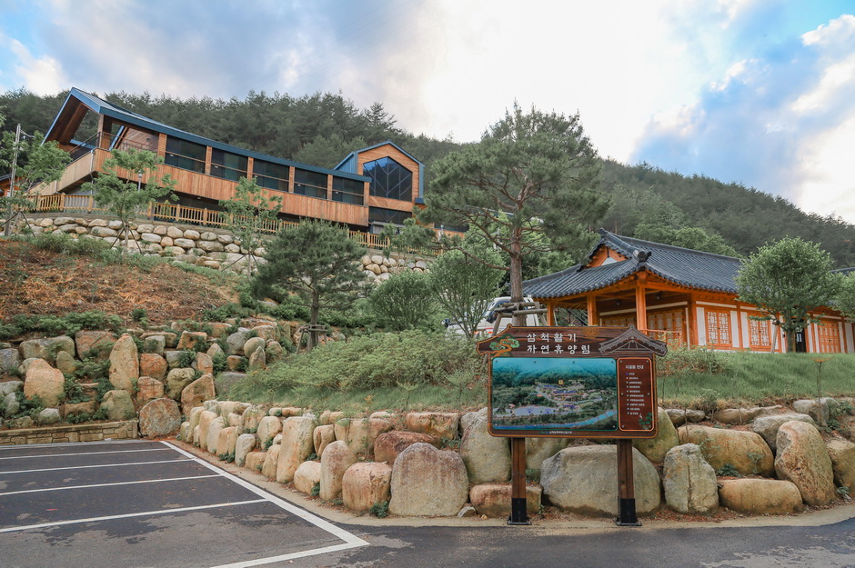 삼척 검봉산 자연휴양림 주변 맛집 카페 마트 특산물 오일장 강아지 동반 정보