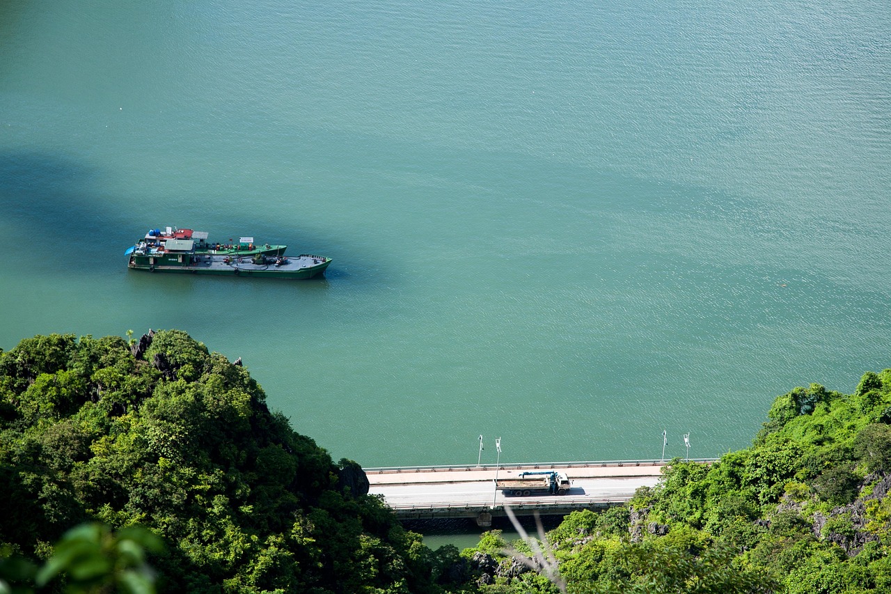 베트남 배 이미지