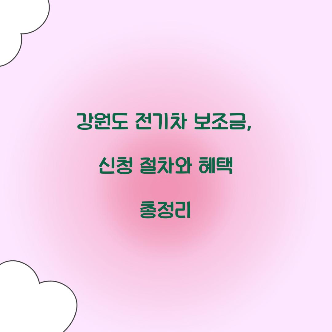 강원도 전기차 보조금