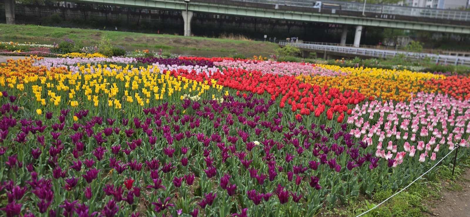 튜울맆 직접 찍은 사진