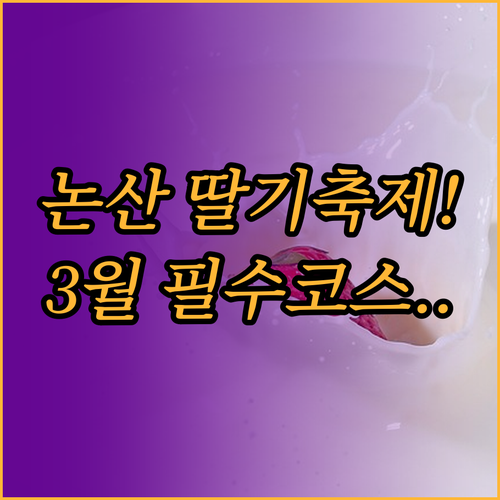 논산 딸기축제와 함께 즐기는 3월 추..