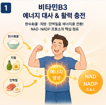 비타민b3-효능-나이아신-음식-영양제-추천