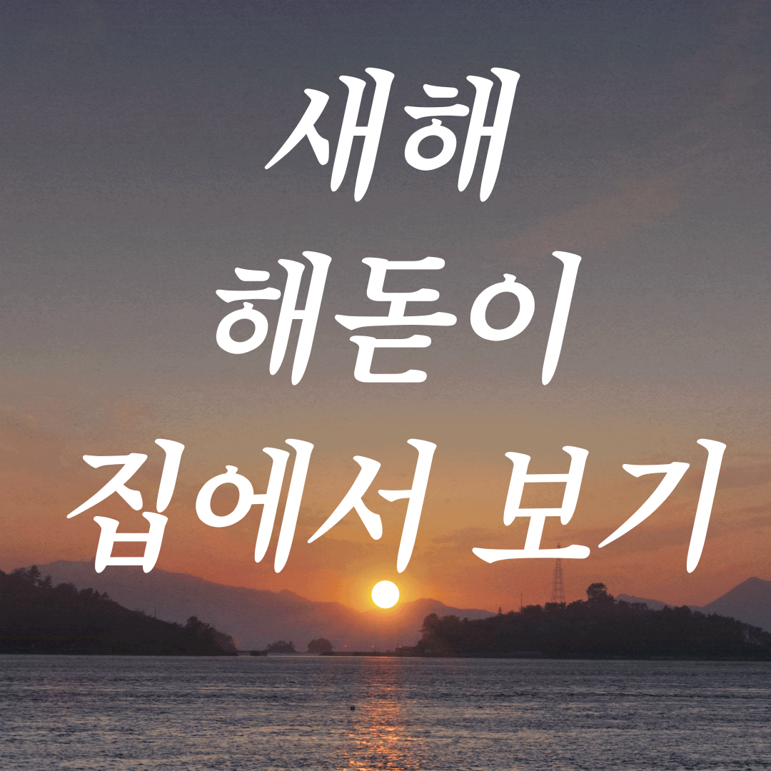 해돋이 실시간 중계