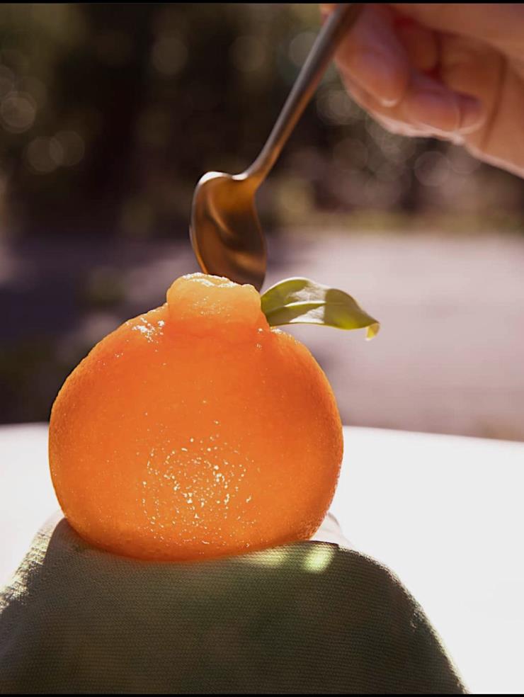 제주 – 한라봉 디저트 투어