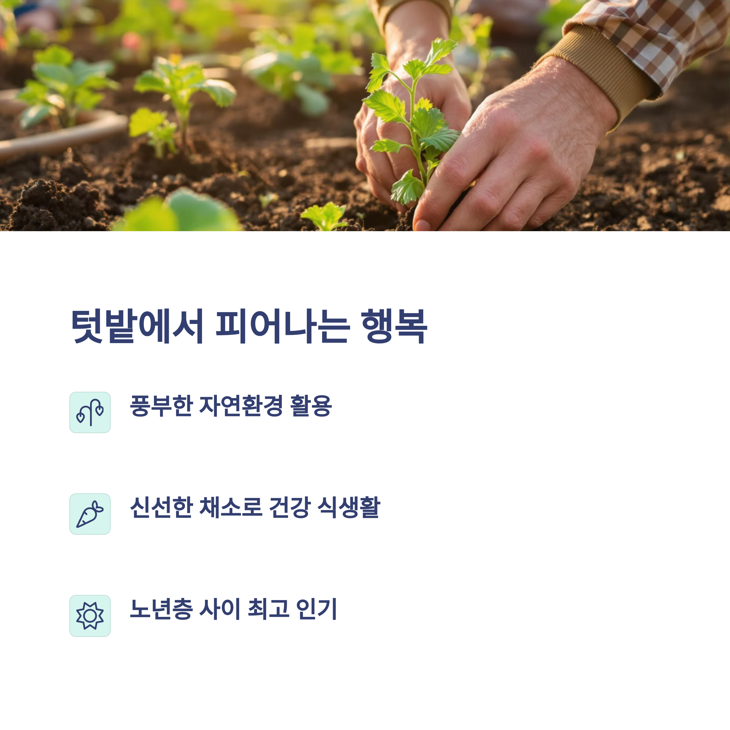 괴산 실버세대가 사랑한 인생 2막, 가장 인기있는 5가지 취미생활 大공개