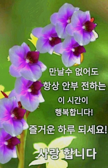 오늘의-운세