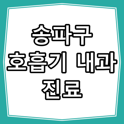 서울시 송파구 호흡기 내과 진료 잘 하는 병원