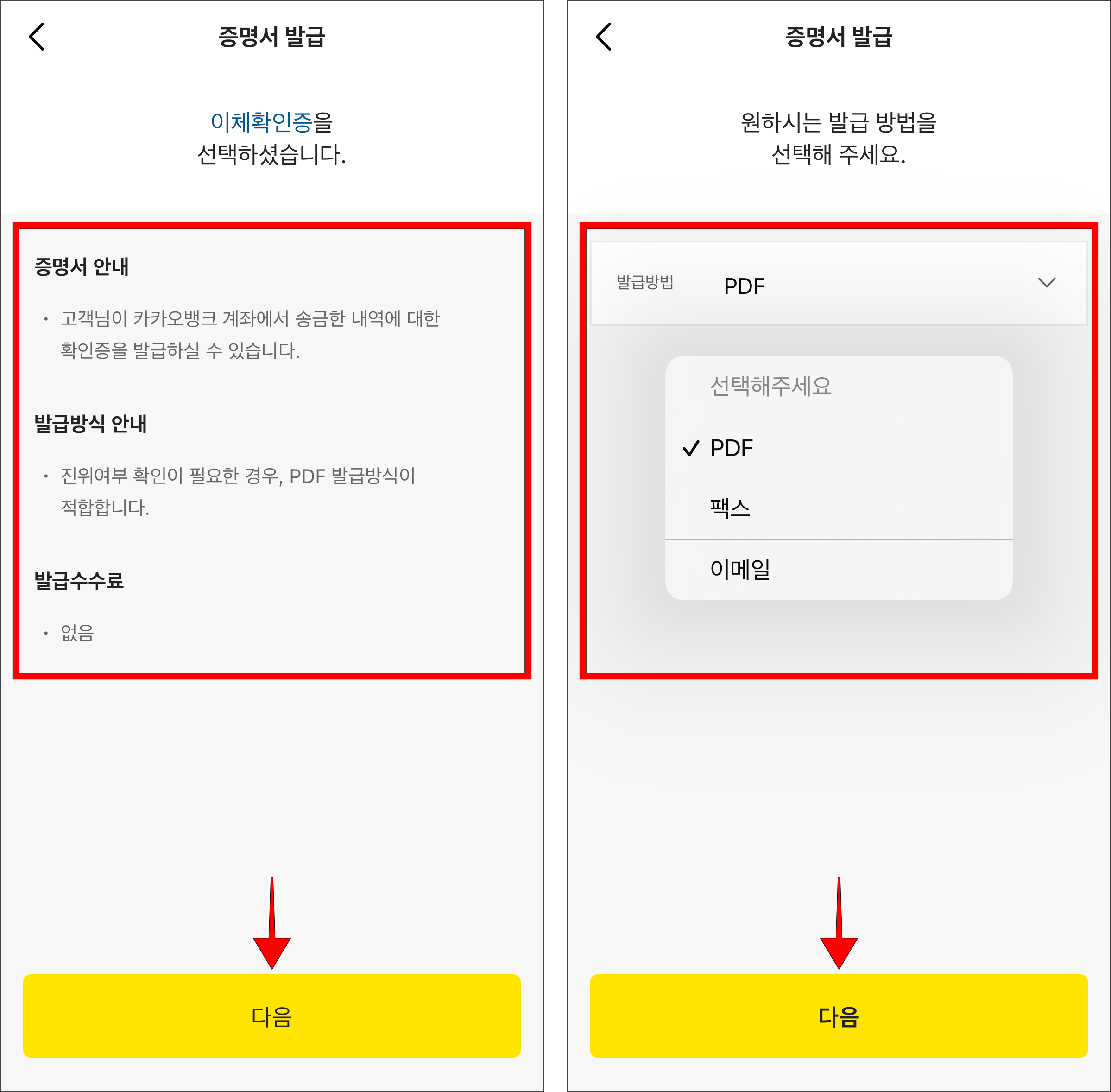 증명서의 발급 정보를 확인하고 다음을 선택한 뒤, 발급 방법을 선택하고 다음을 선택