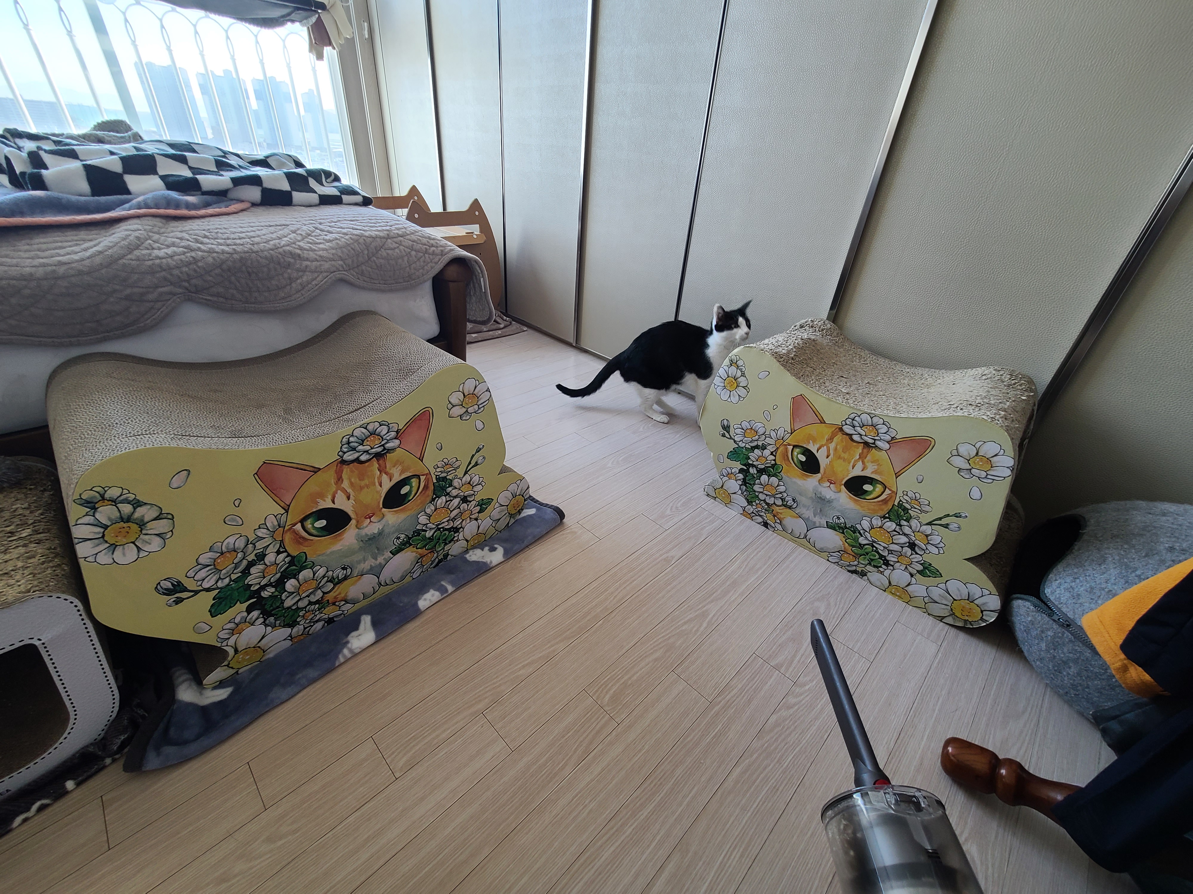 고양이들의 차차스크래쳐를 교체했다.