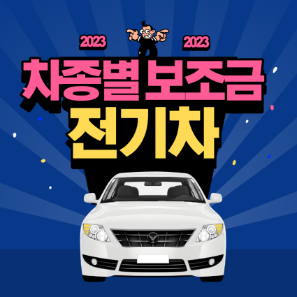 차종별-전기차-보조금