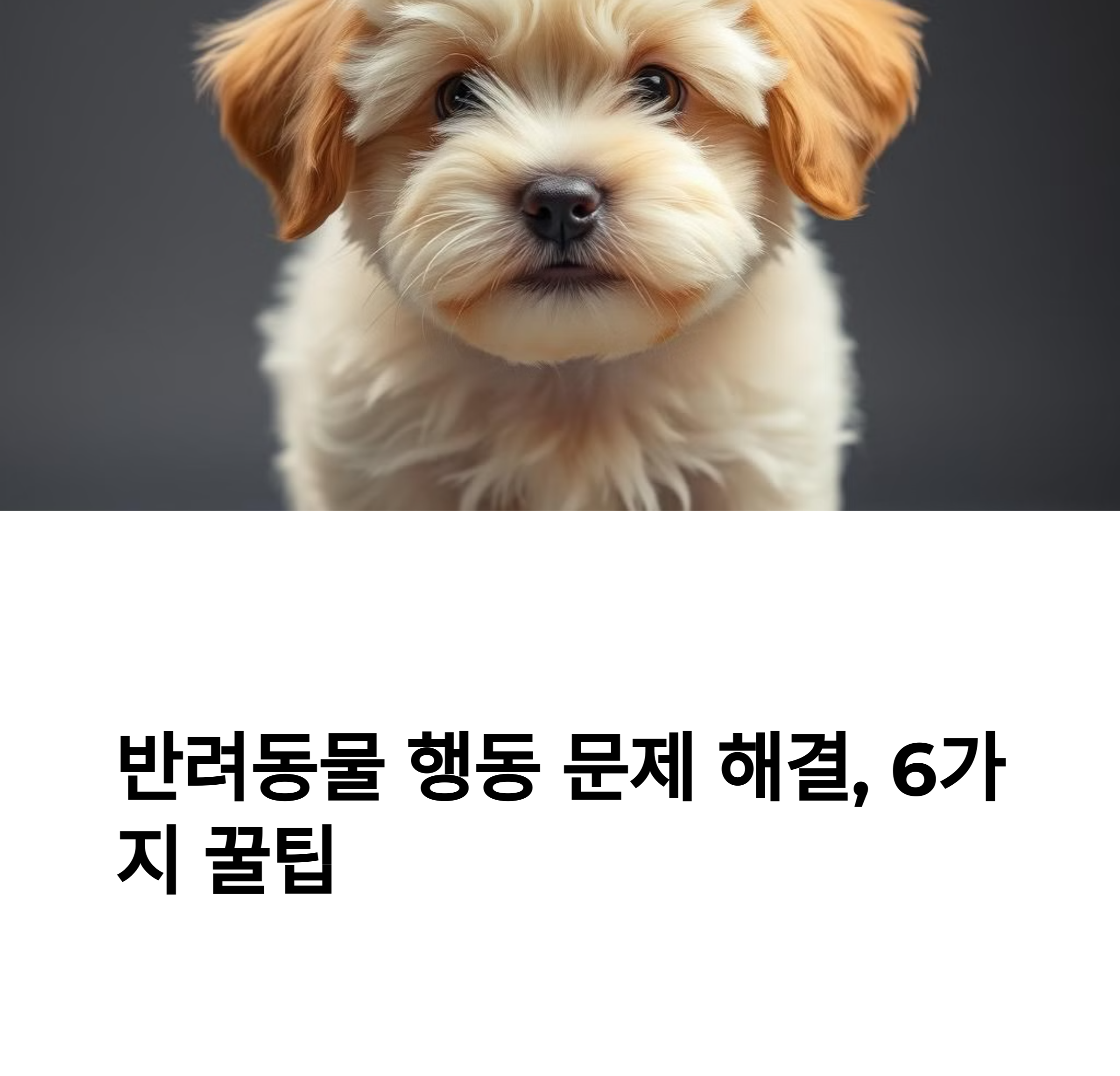 반려동물 행동문제