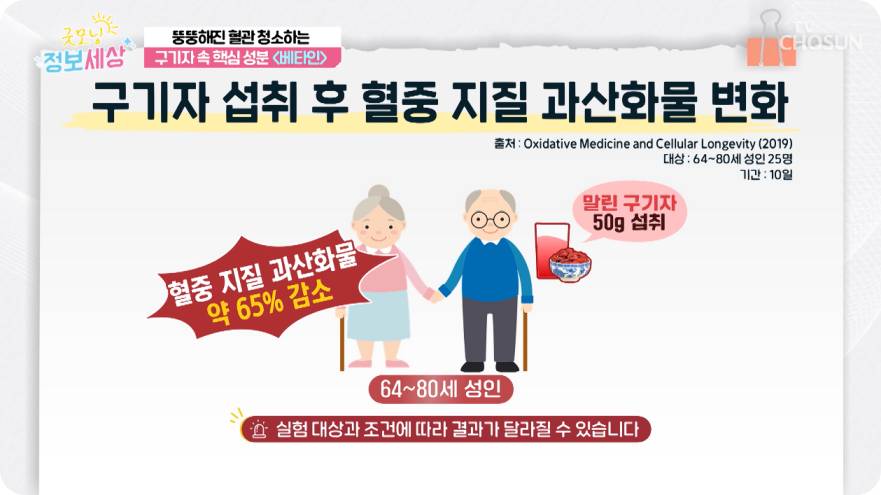 tv조선 굿모닝 정보세상 구기자