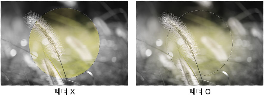 페더 유무에 따른 결과물의 차이