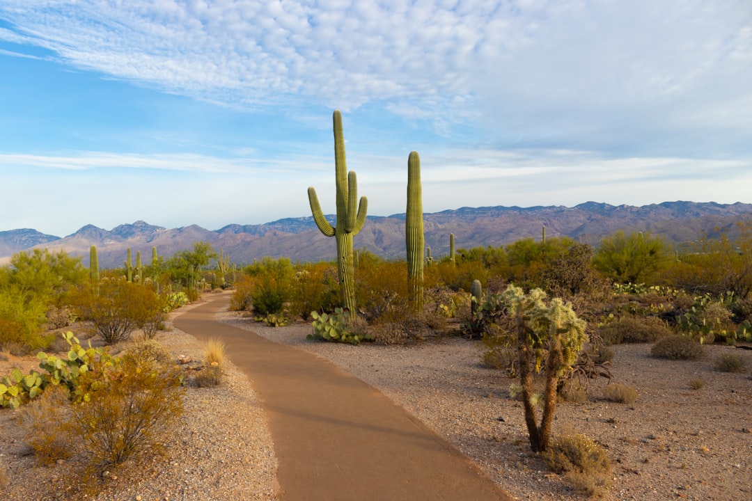 National Park