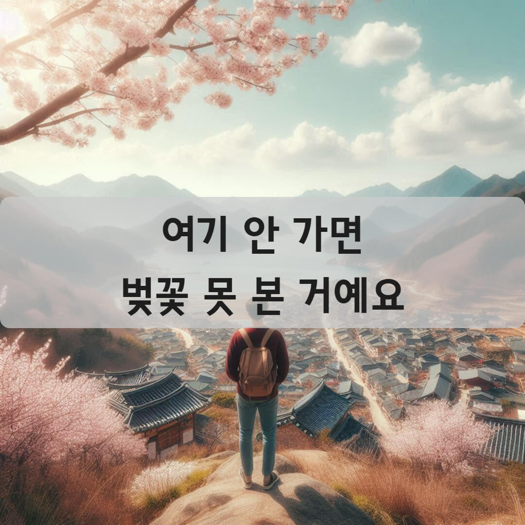 여기 안 가면 벚꽃 못 본 거나 마찬가지예요
