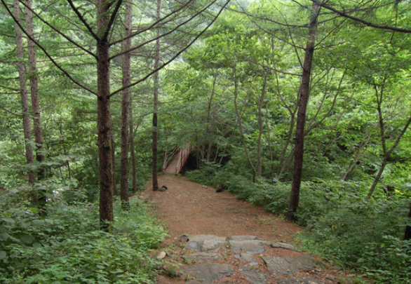 가리산자연휴양림