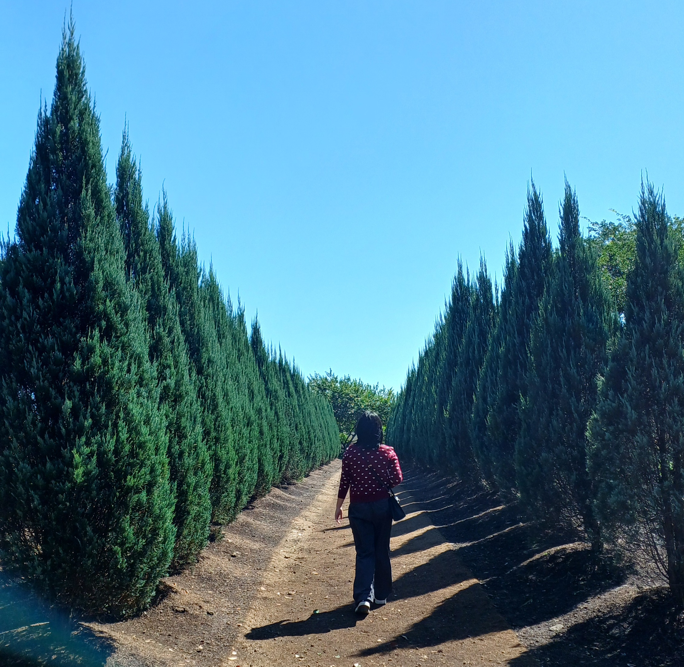 제주-동화마을-9