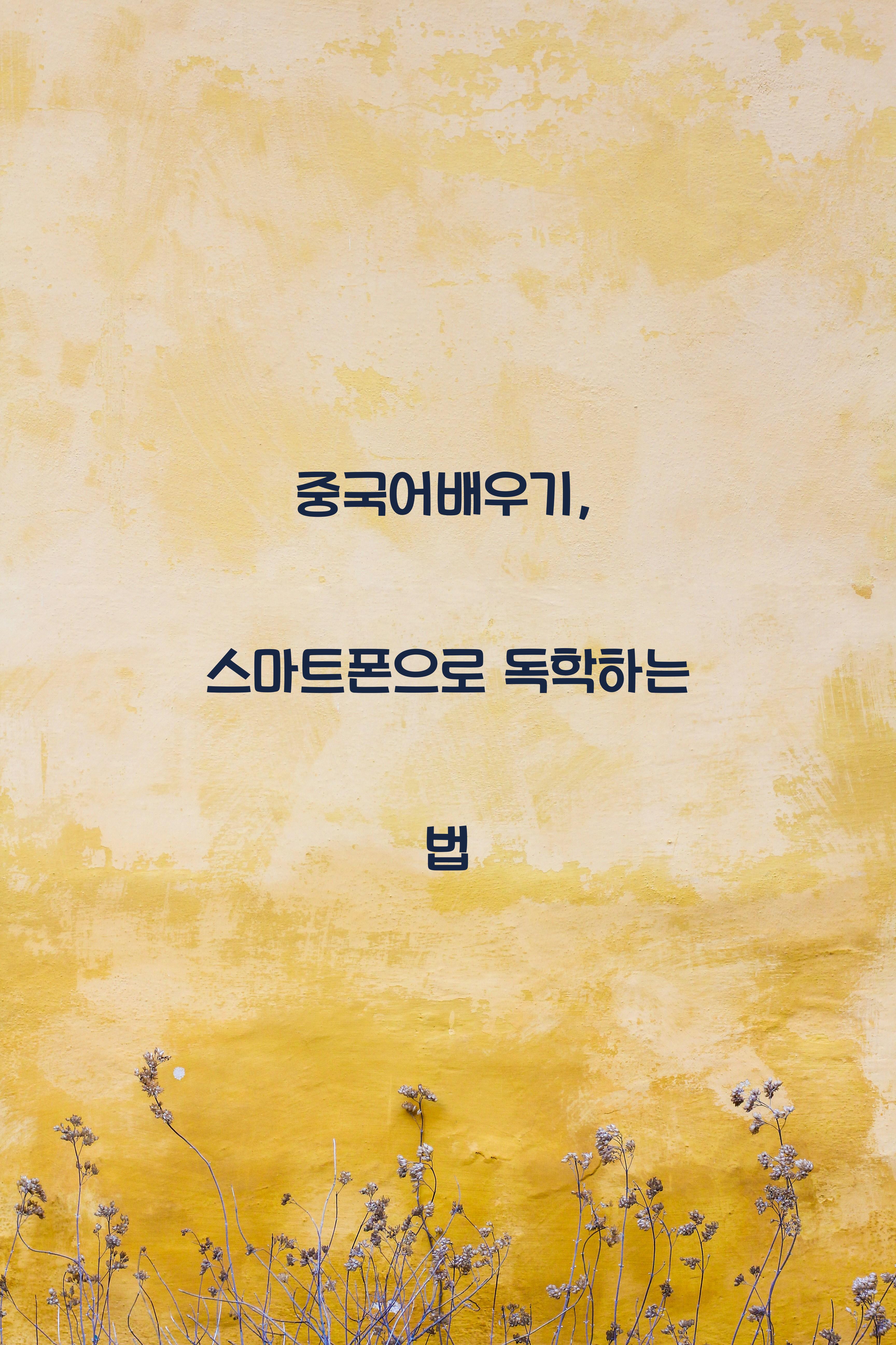 중국어배우기