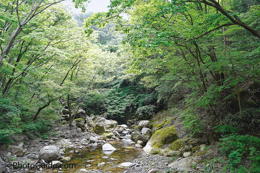쌍계사-포토가이드