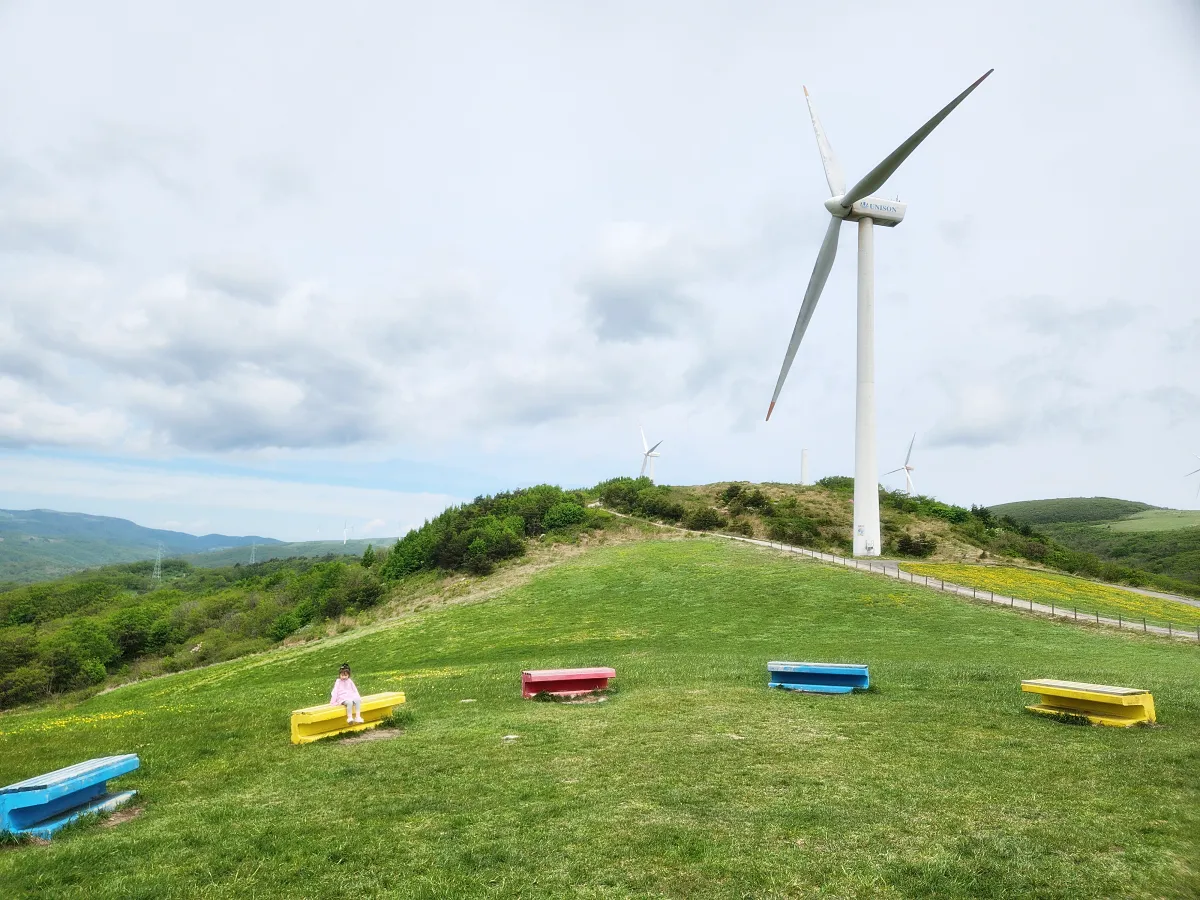 평창-하늘목장-색깔-나무들