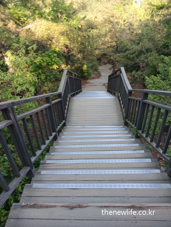 &ldquo;Wooden staircase leading into forest trail&rdquo;-&ldquo;산길로 내려가는 직선 목재 계단 구간&rdquo;