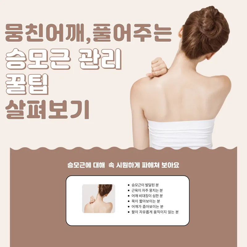 승모근 관리 꿀팁