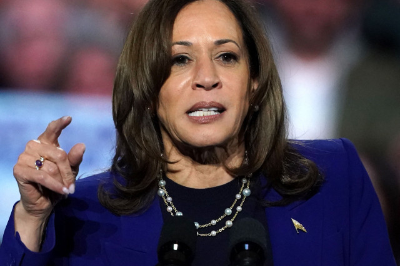 트럼프 해리스 관련주 공약 미국 대선 결과