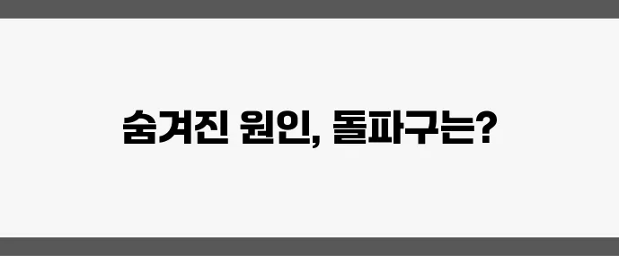 중년 체중 증가 원인과 해결책 살찌는 이유를 파헤쳐 보자!