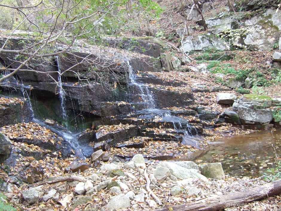 영천 가볼만한곳 BEST 10