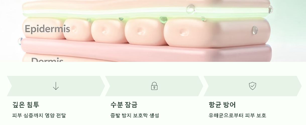 코코넛오일 효능