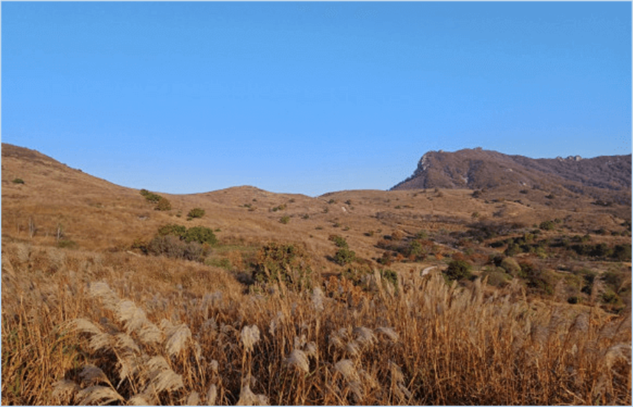 황매산-억새축제