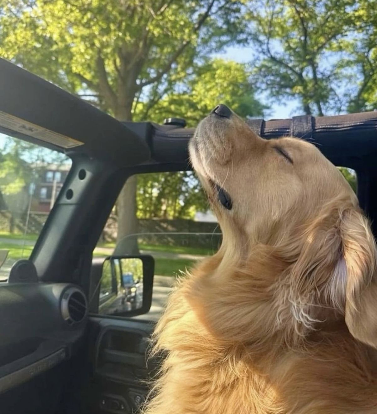 자동차 생활백서 시즌2 - 13편
반려동물 동반 운전 완벽 가이드 - 안전하고 편안한 반려동물 이동법
반려동물 차량 용품 추천부터 장거리 이동시 주의사항까지
반려동물의 멀미 방지법과 스트레스 최소화 방법