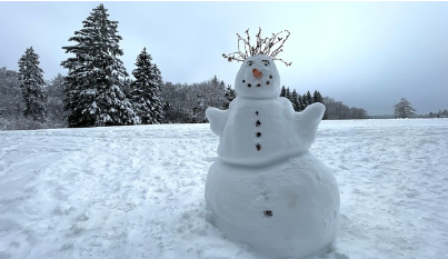 캐나다 퀘벡 윈터 카니발: 세계 최대 겨울 축제