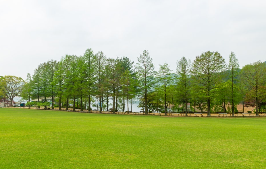 청남대 영춘제 관련 사진