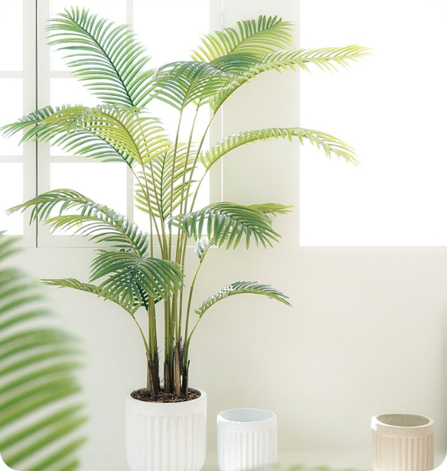 미세먼지를 없애는 실내 공기 정화 식물 BEST 7