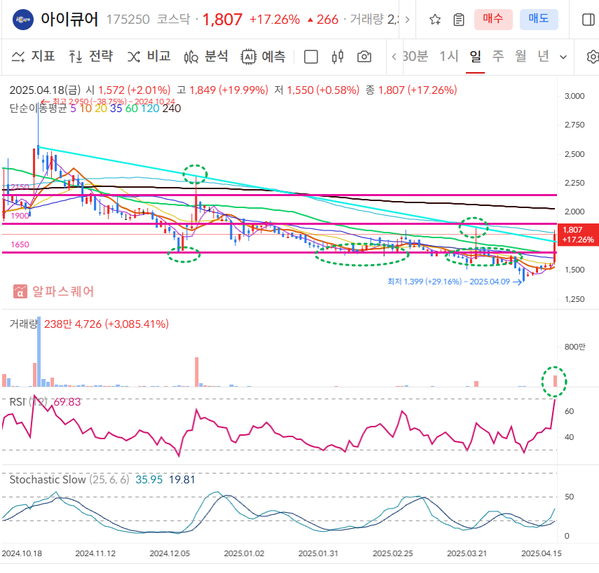 아이큐어 일봉차트