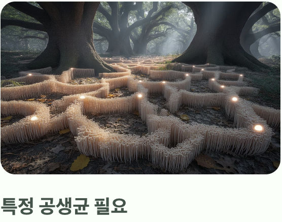 까다로운 미식가, 특별한 '곰팡이'와의 공생