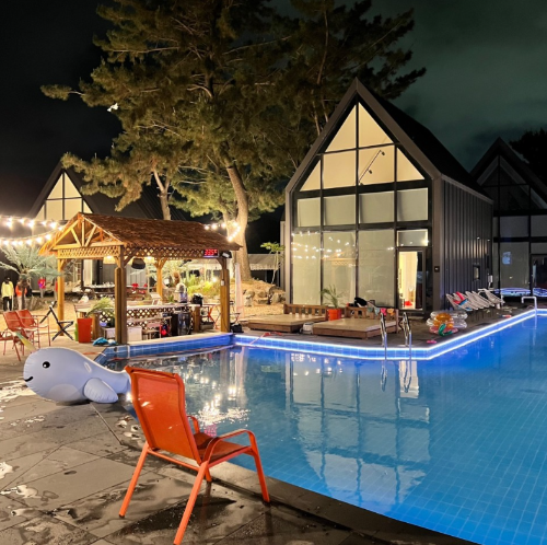 강아지 동반 여행지 추천