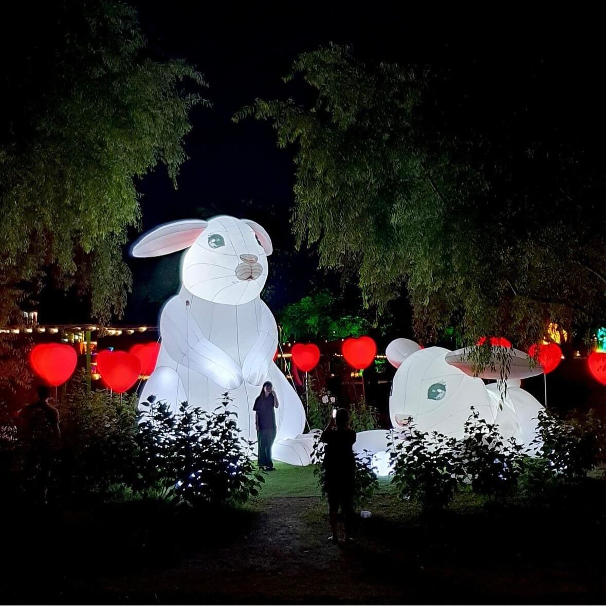 궁남지 연꽃축제