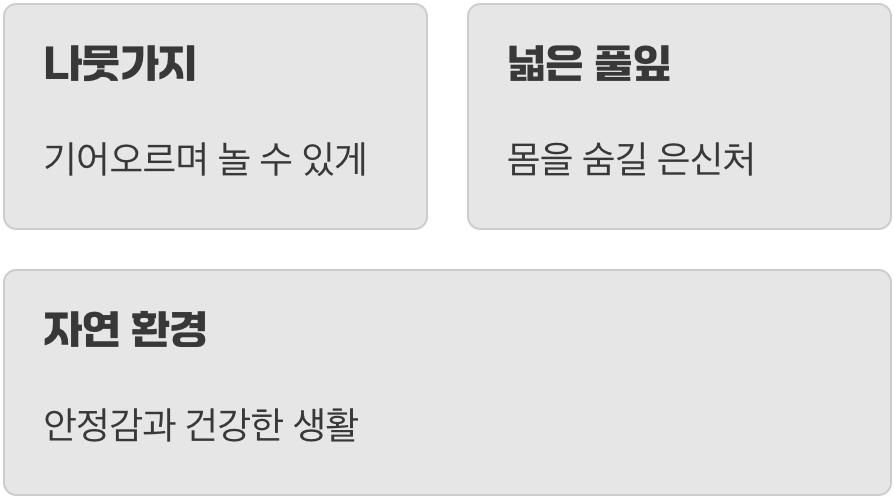 숨을 곳 없는 텅 빈 집