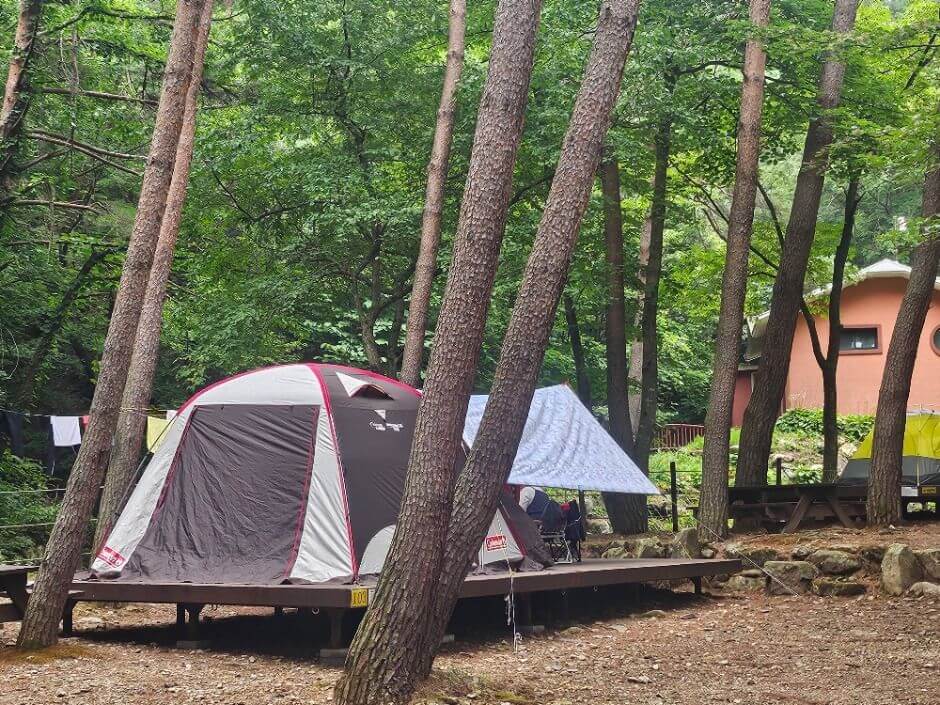 영양 가볼만한곳 베스트 10