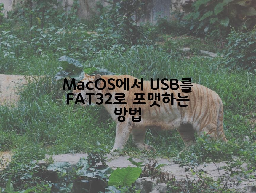 MacOS에서 USB를 FAT32로 포맷하는 방법