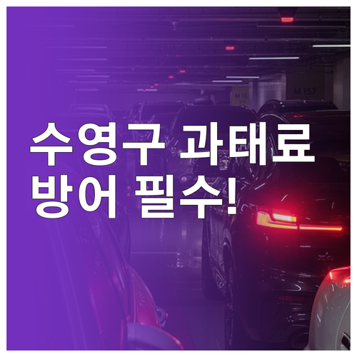 수영구 주정차 단속 문자 알림 서비스..
