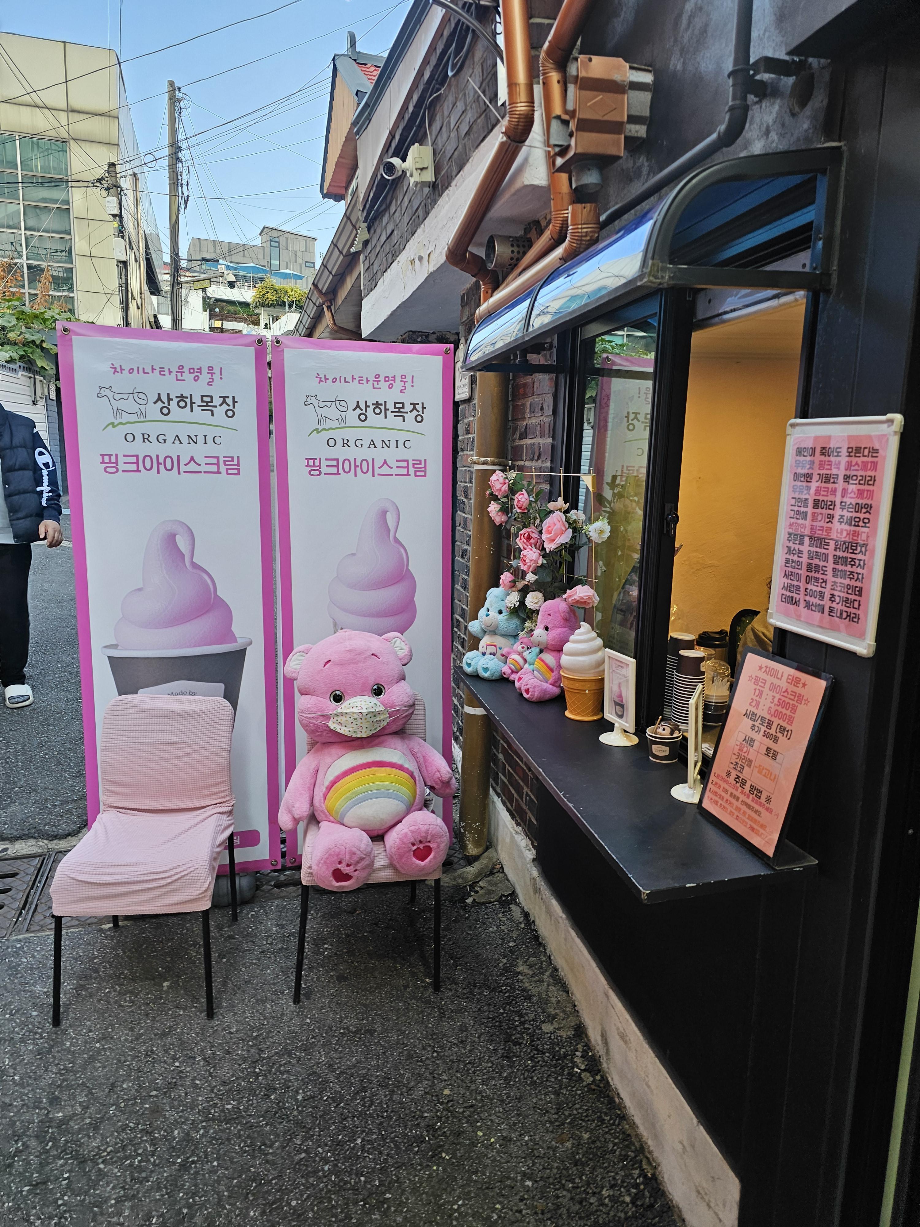 차이나타운 사진 여행후기